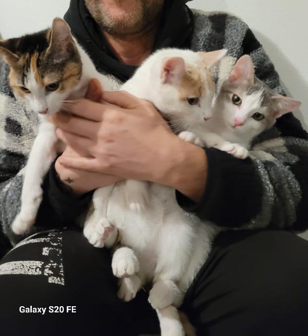 Tabata Tina E Annabel Miciotte Di 5 Mesi